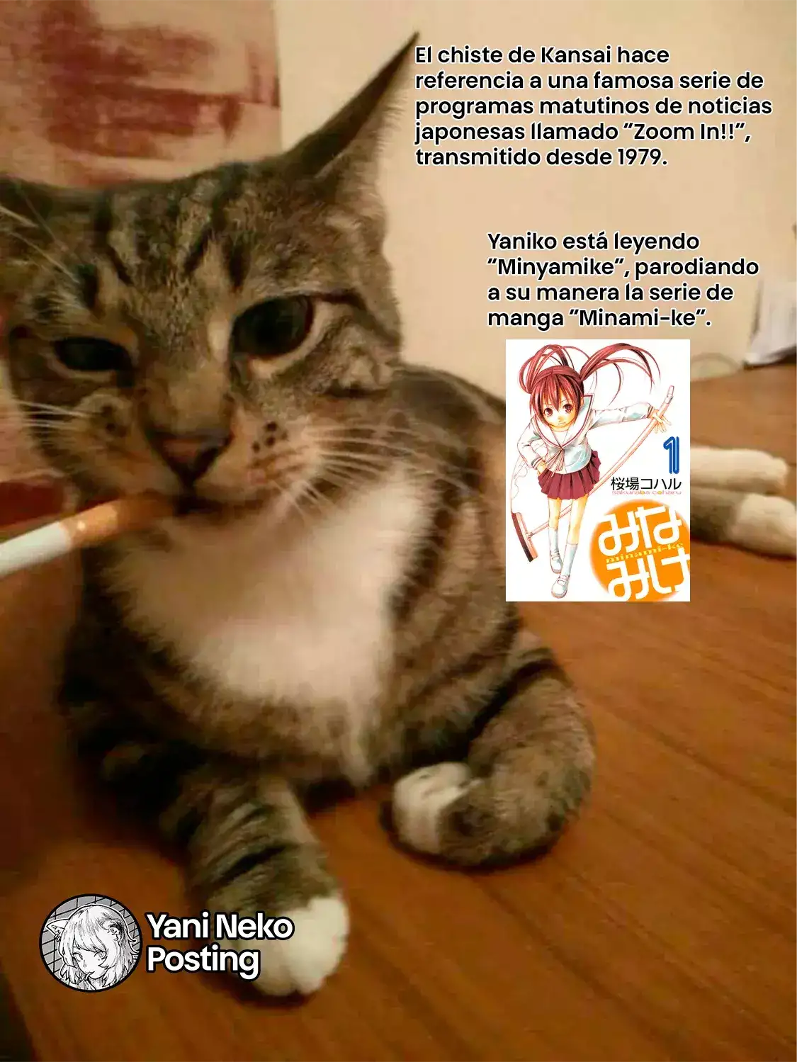 NICOTINEKO capítulo 35, página 9