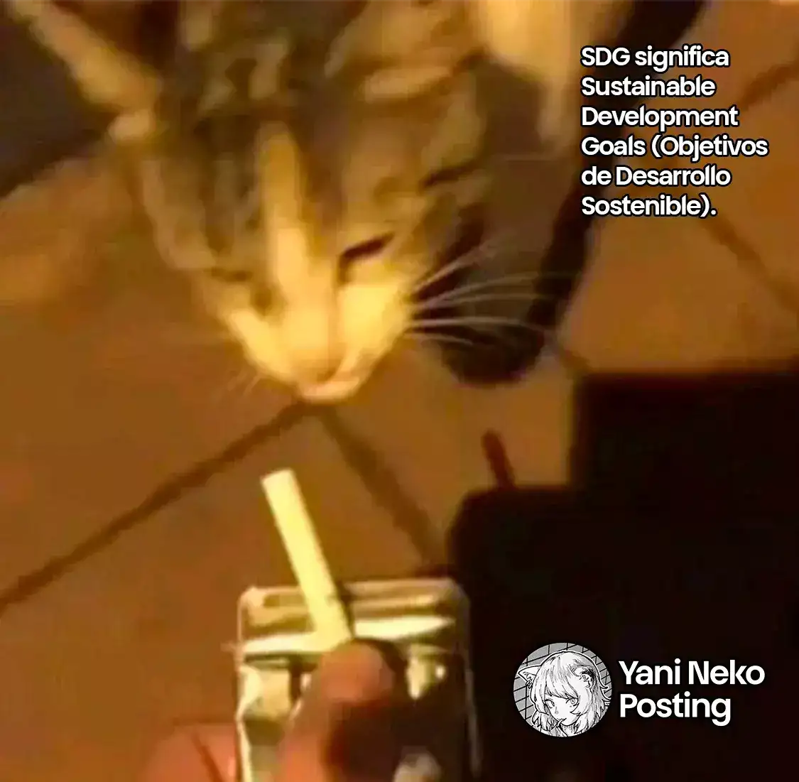 NICOTINEKO capítulo 36, página 5