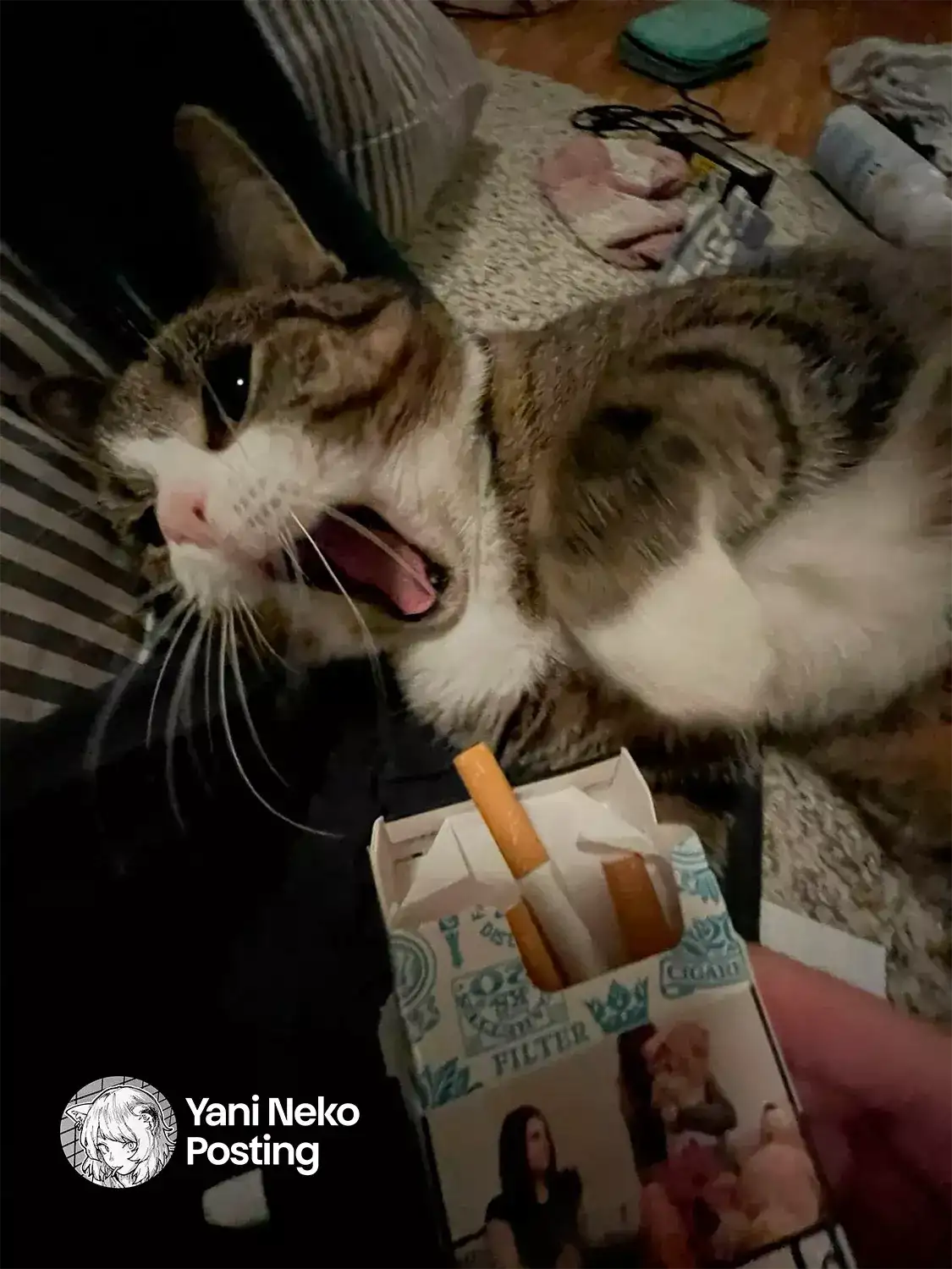 NICOTINEKO capítulo 37, página 5