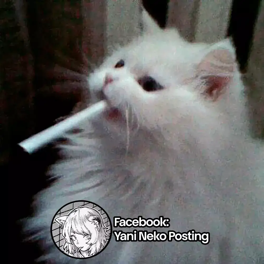 NICOTINEKO capítulo 4, página 9