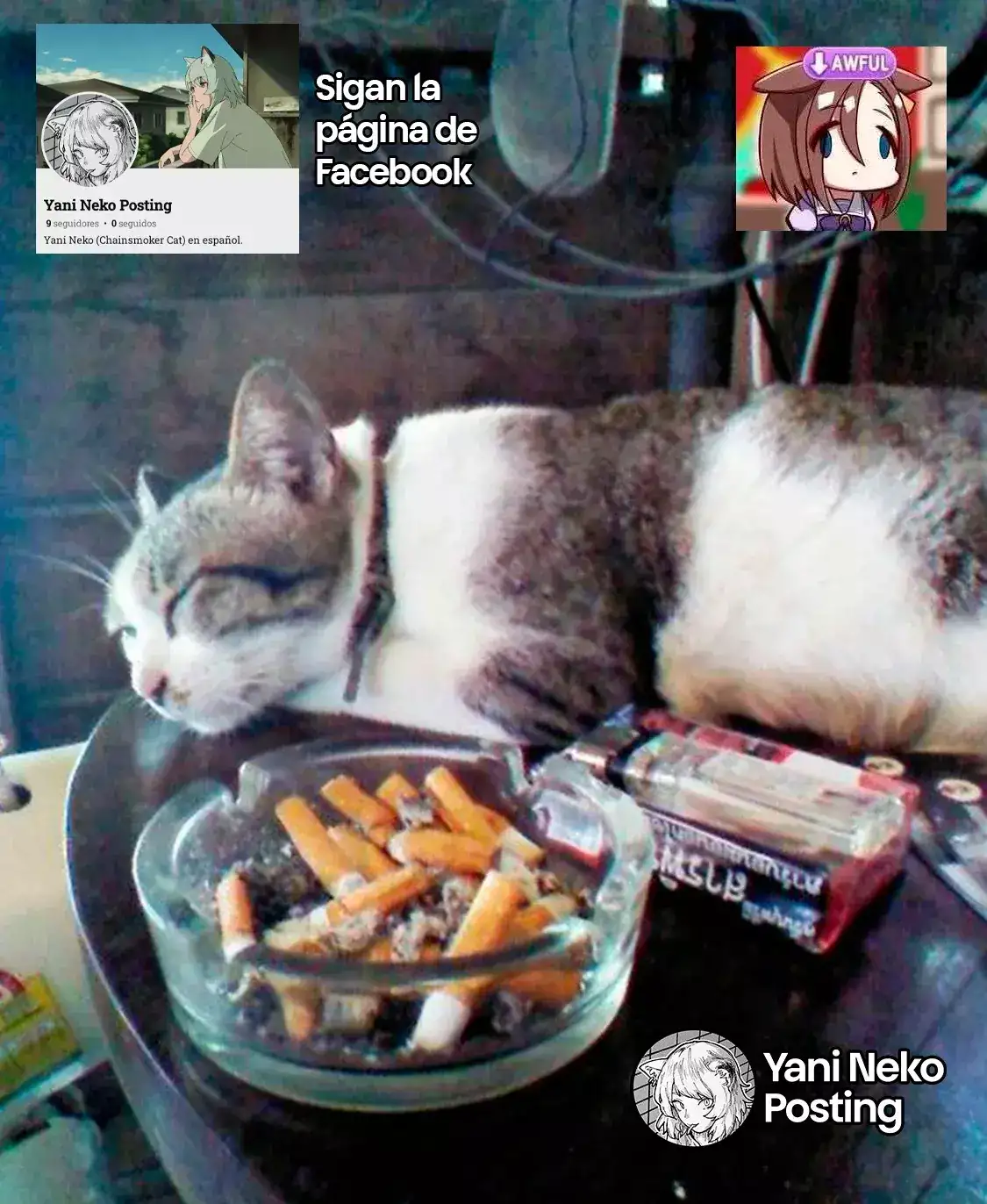 NICOTINEKO capítulo 40, página 5