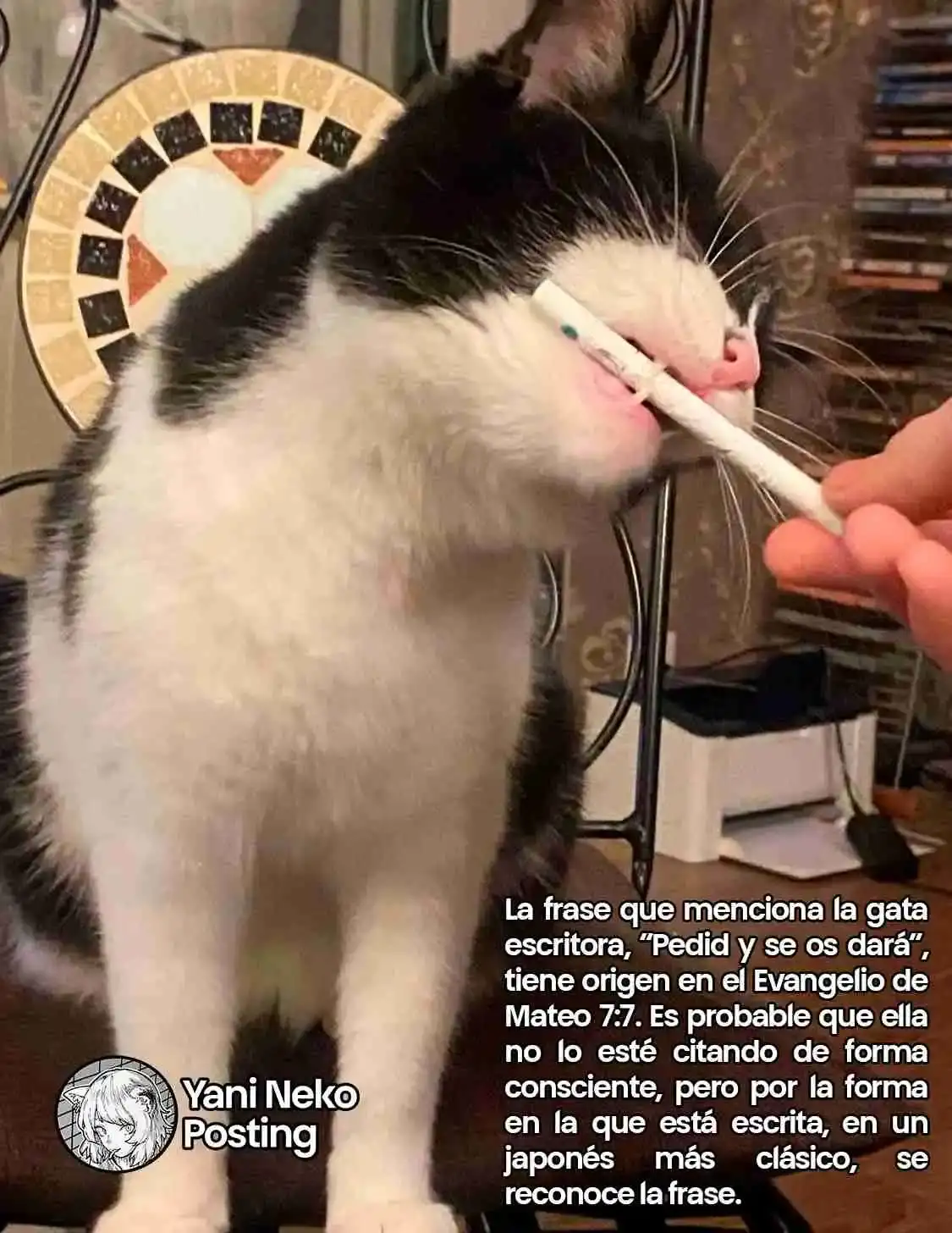 NICOTINEKO capítulo 44, página 5