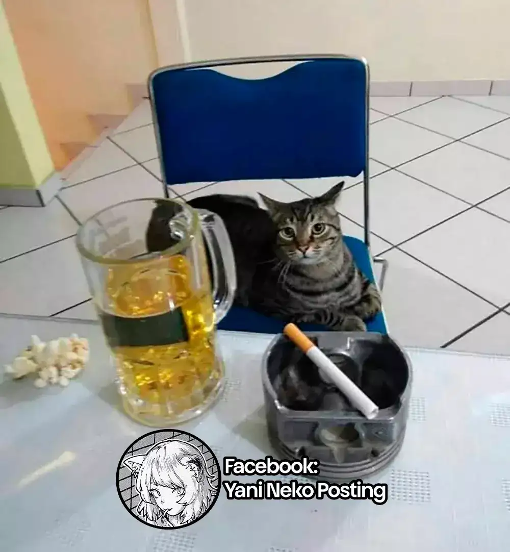 NICOTINEKO capítulo 5, página 7