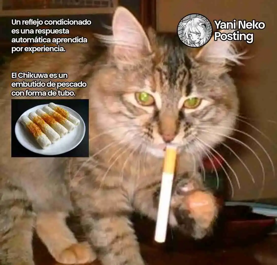 NICOTINEKO capítulo 51, página 5