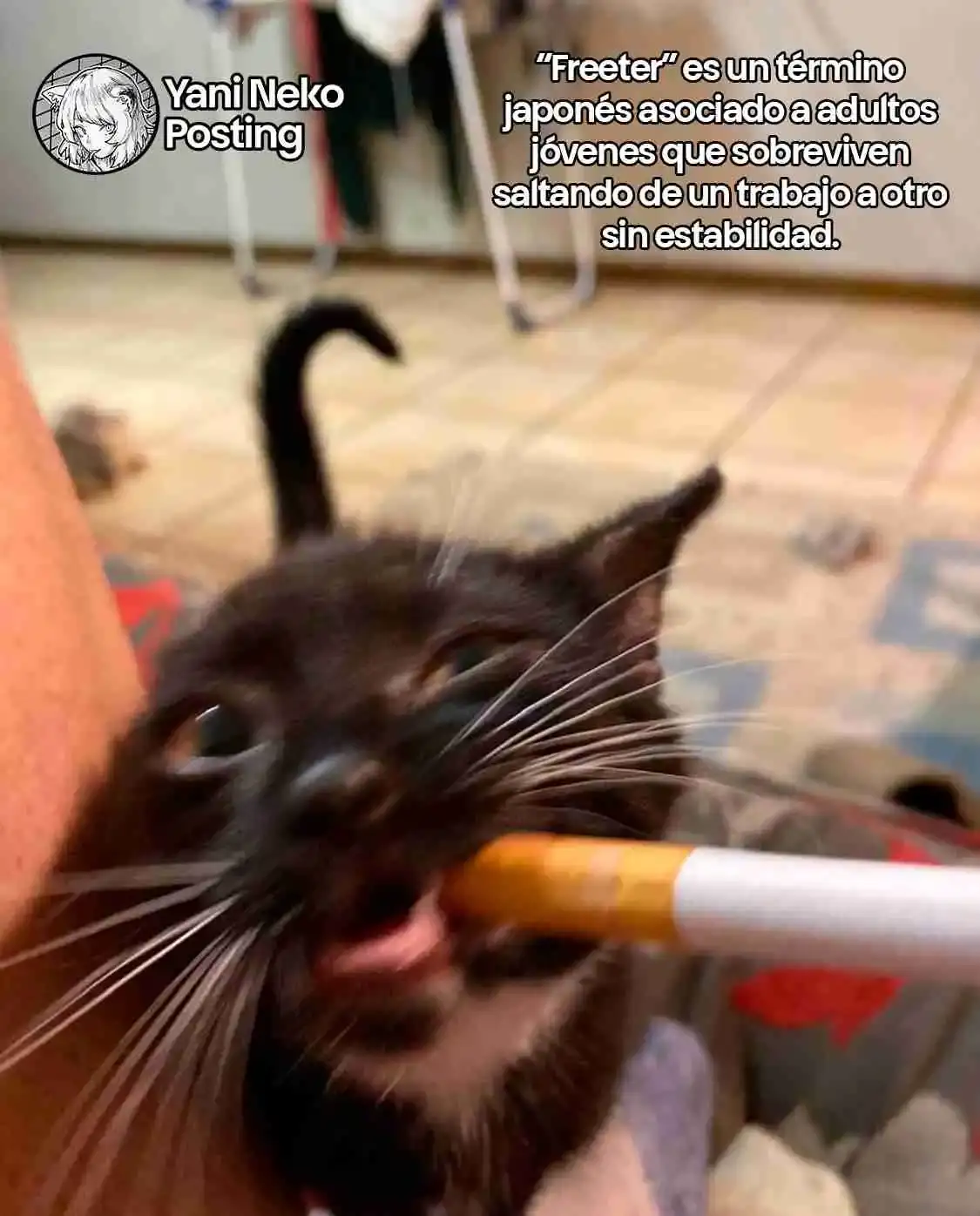 NICOTINEKO capítulo 52, página 5