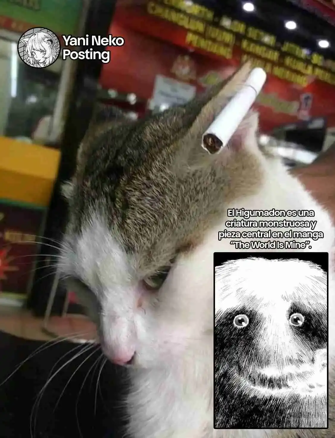 NICOTINEKO capítulo 54, página 9