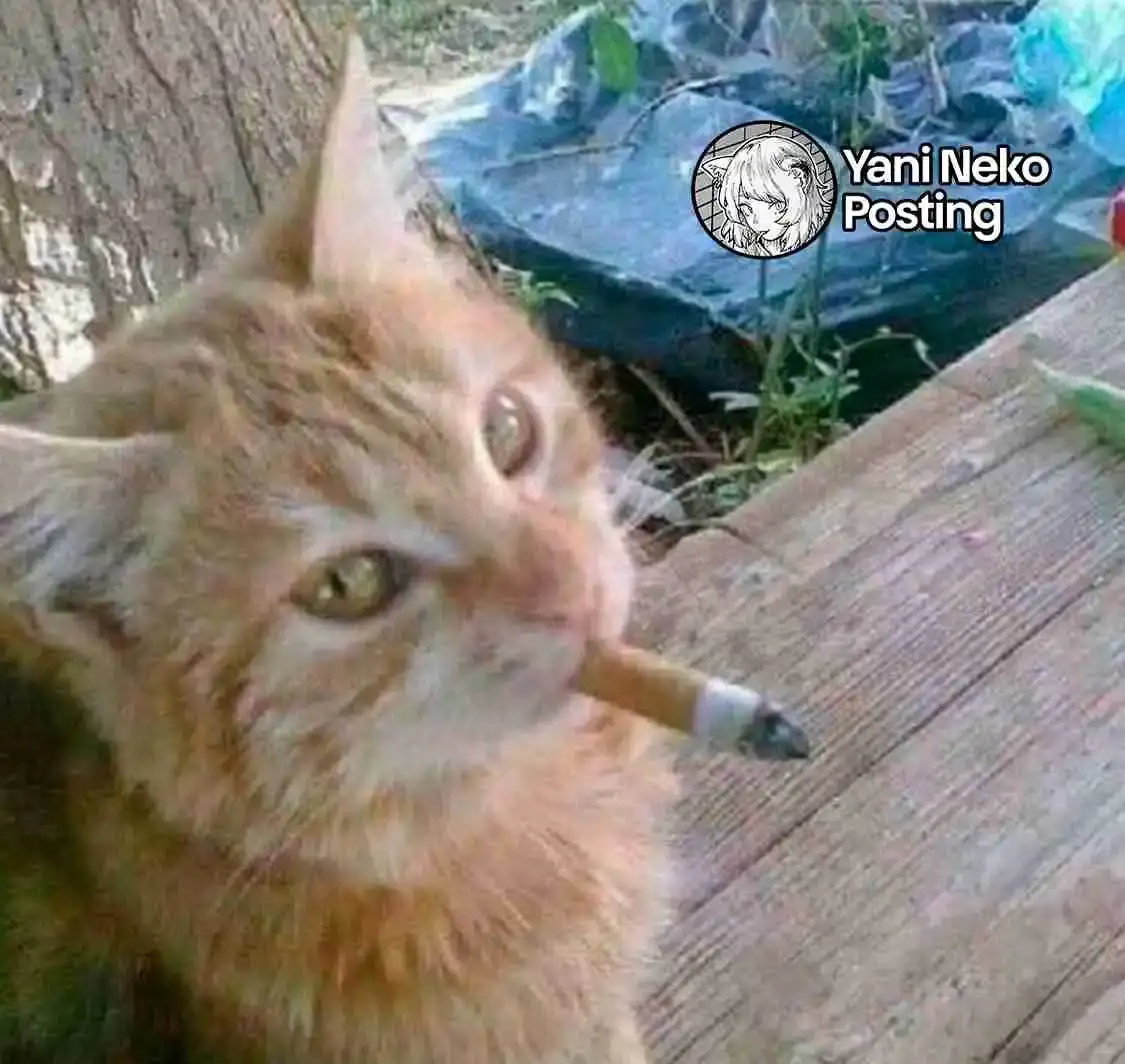 NICOTINEKO capítulo 56, página 5