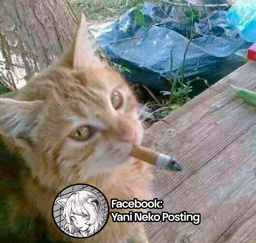 NICOTINEKO capítulo 6, página 7