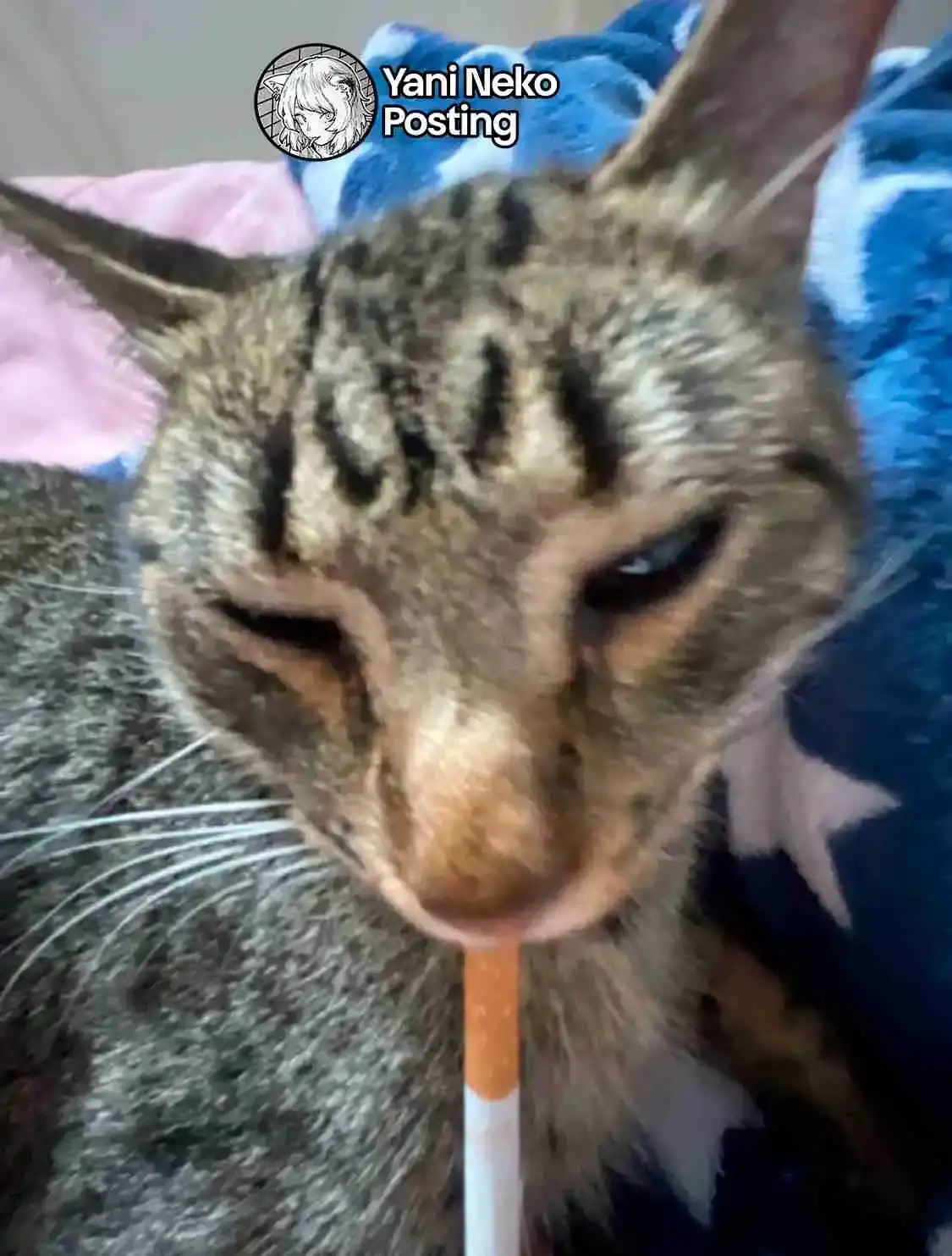 NICOTINEKO capítulo 64, página 5