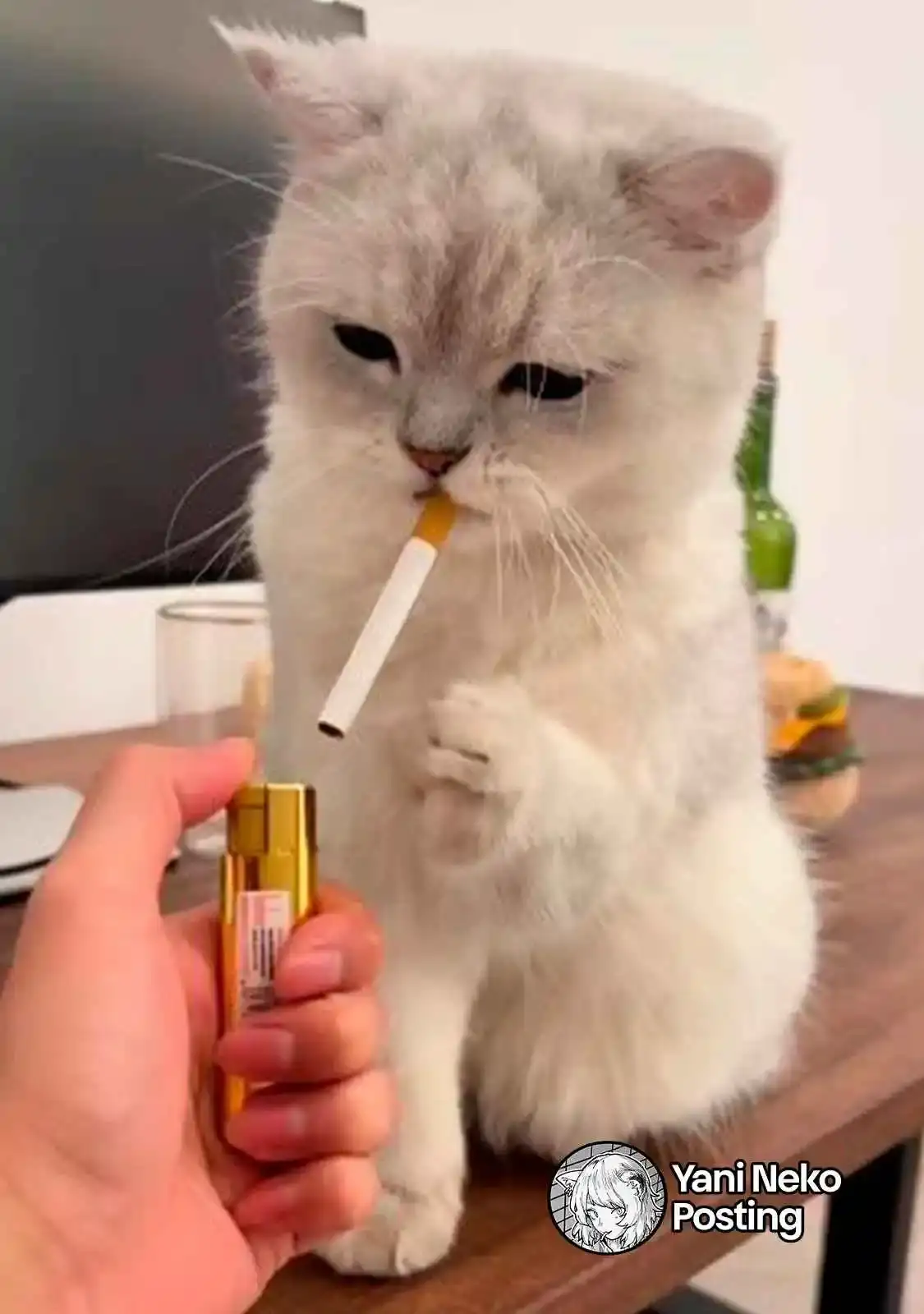 NICOTINEKO capítulo 66, página 7
