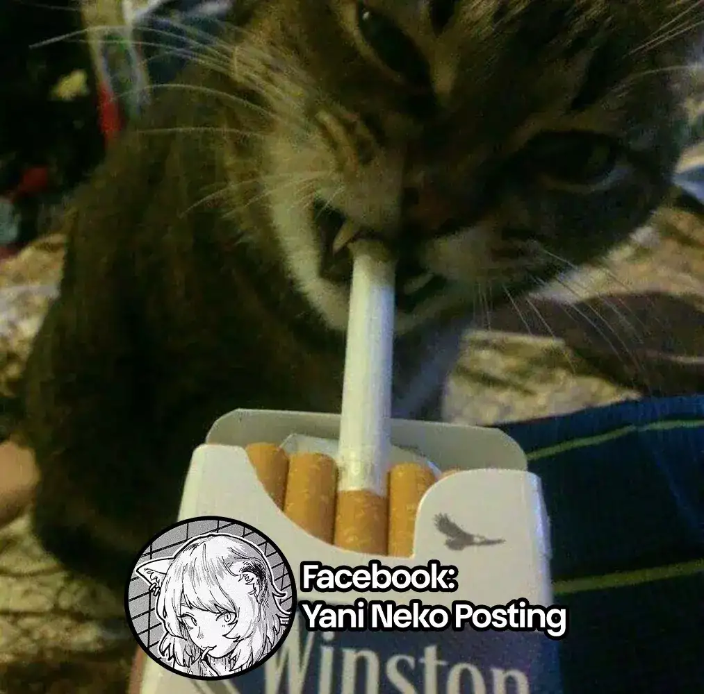 NICOTINEKO capítulo 7, página 5