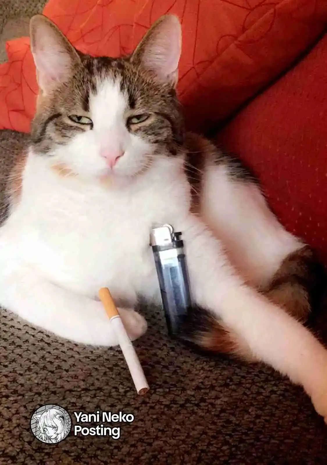 NICOTINEKO capítulo 70, página 9