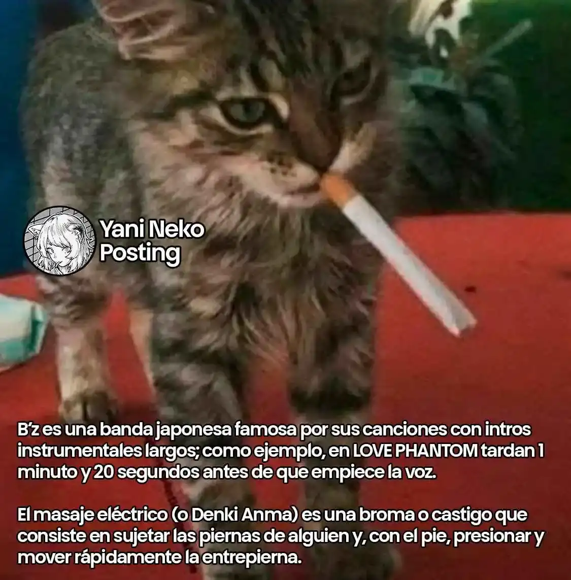 NICOTINEKO capítulo 73, página 5