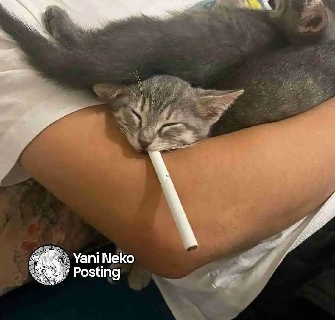 NICOTINEKO capítulo 76, página 7