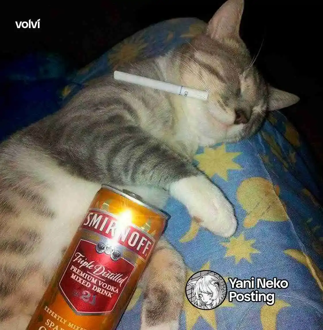 NICOTINEKO capítulo 77, página 5