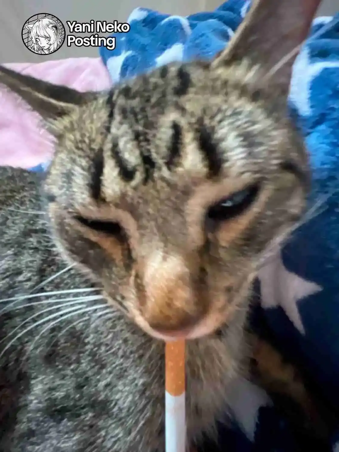 NICOTINEKO capítulo 78, página 9