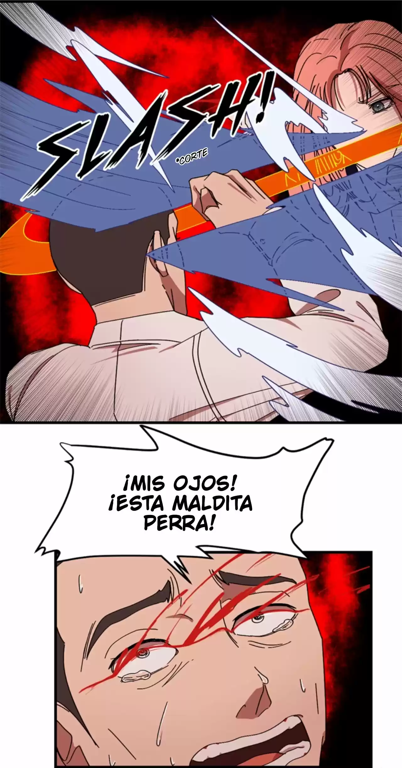 6th capítulo 2.70, página 20