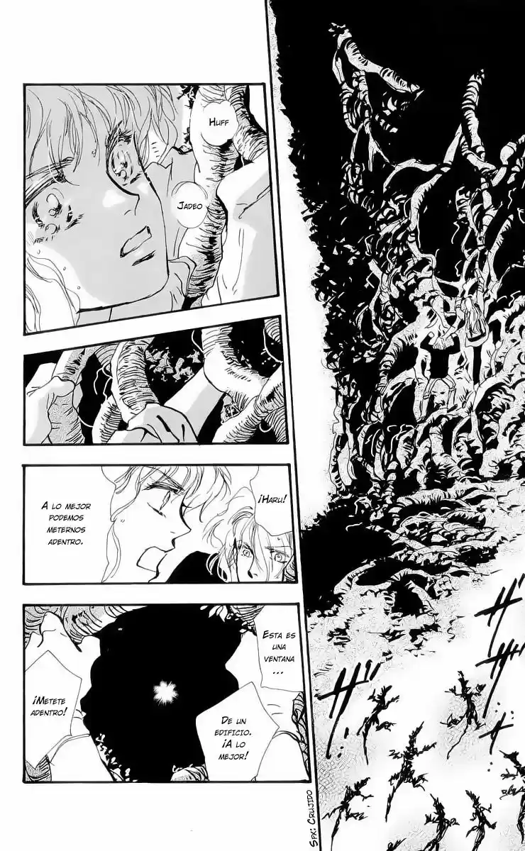 7 Seeds capítulo 13, página 24