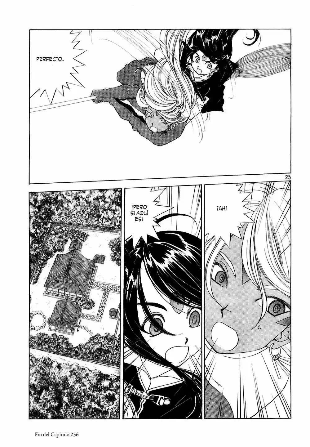 Aa! Megami-sama! capítulo 236, página 25