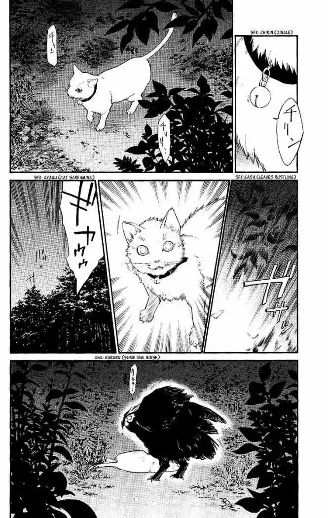 ALIVE ~ The Final Evolution ~ capítulo 19, página 6