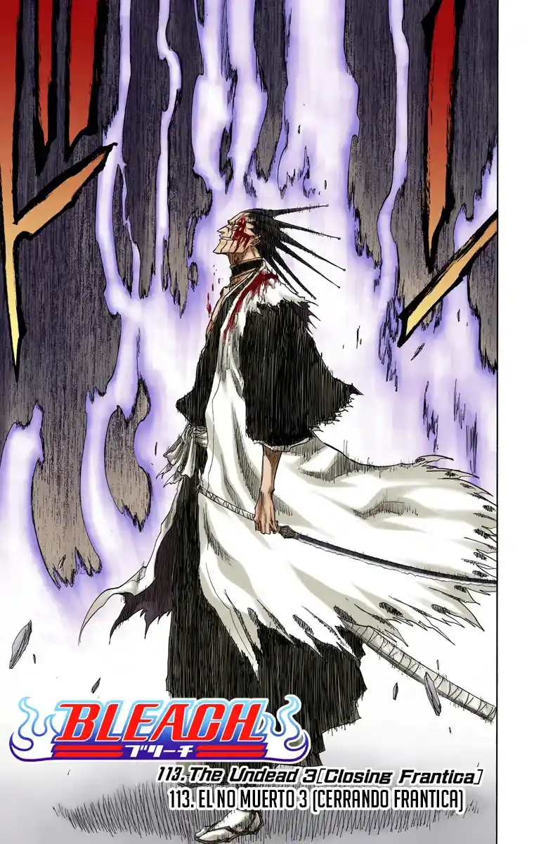 Bleach Full Color capítulo 113, página 4