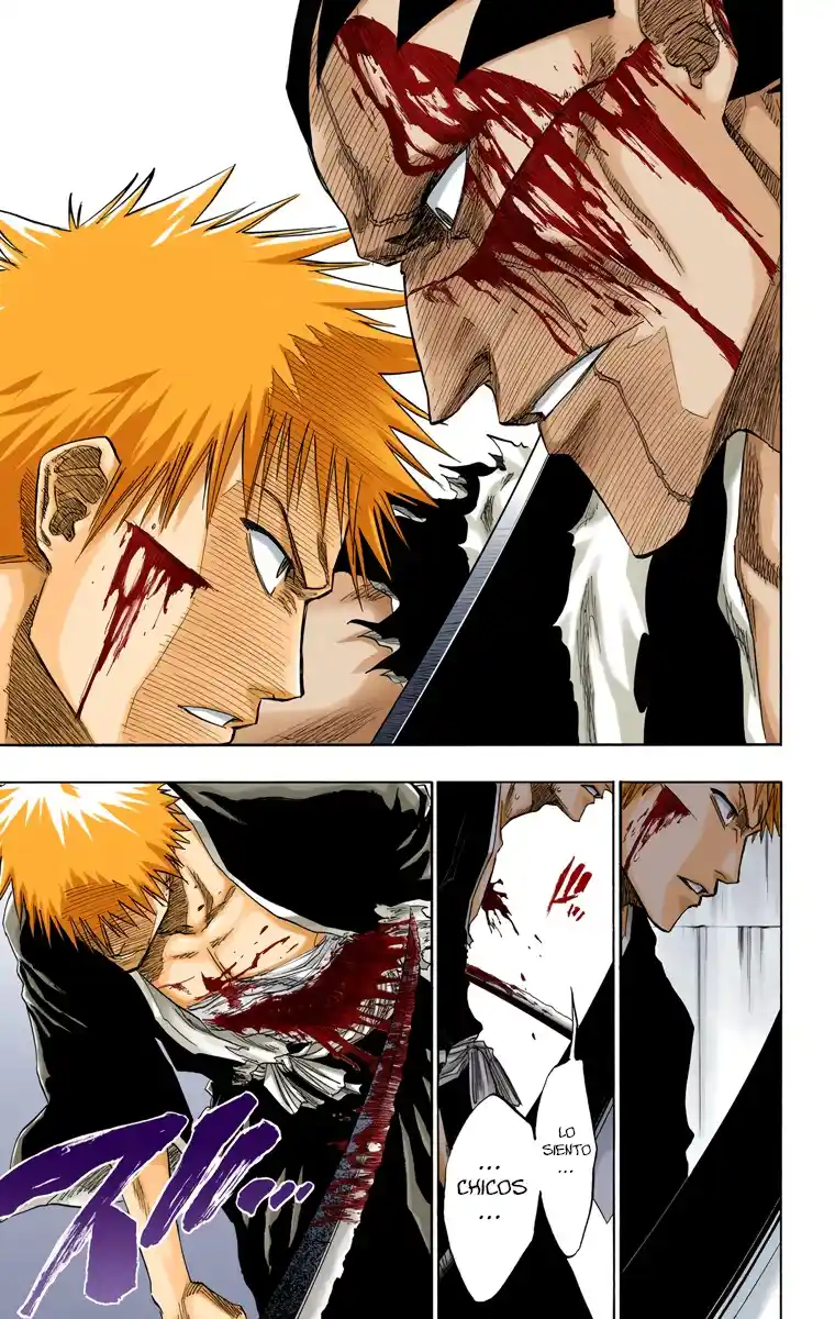 Bleach Full Color capítulo 113, página 17