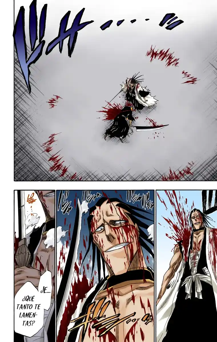 Bleach Full Color capítulo 113, página 18