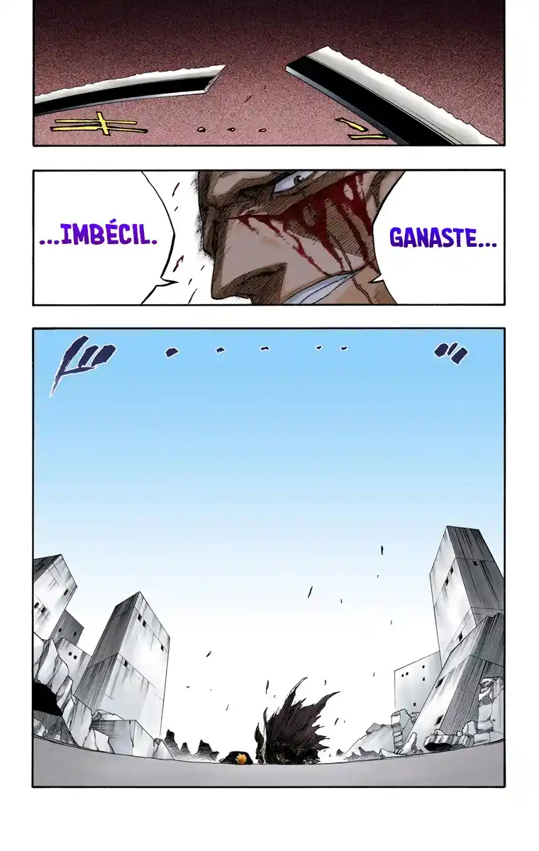 Bleach Full Color capítulo 113, página 19