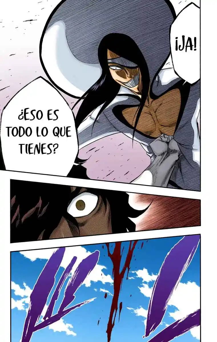 Bleach Full Color capítulo 261, página 24
