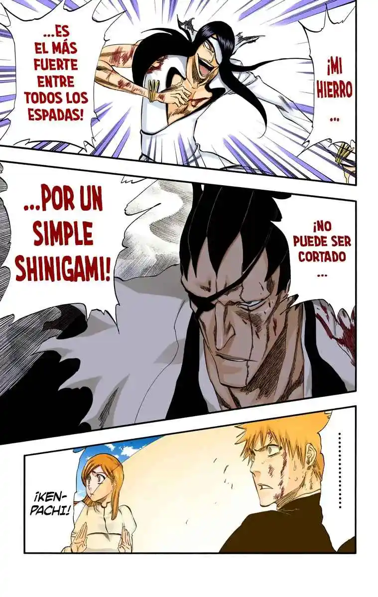 Bleach Full Color capítulo 306, página 24
