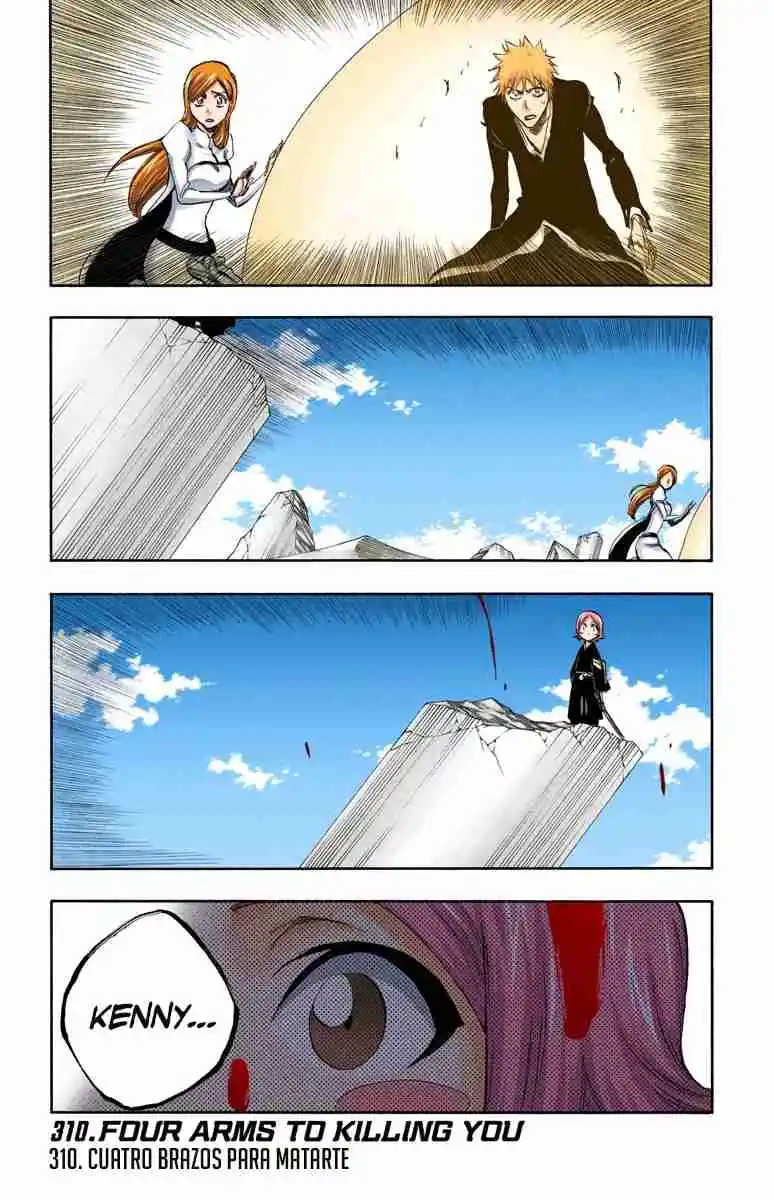 Bleach Full Color capítulo 310, página 2