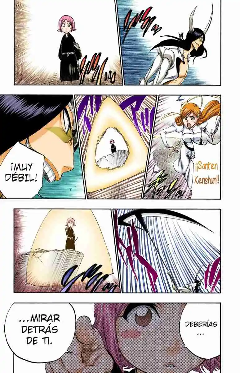 Bleach Full Color capítulo 310, página 8