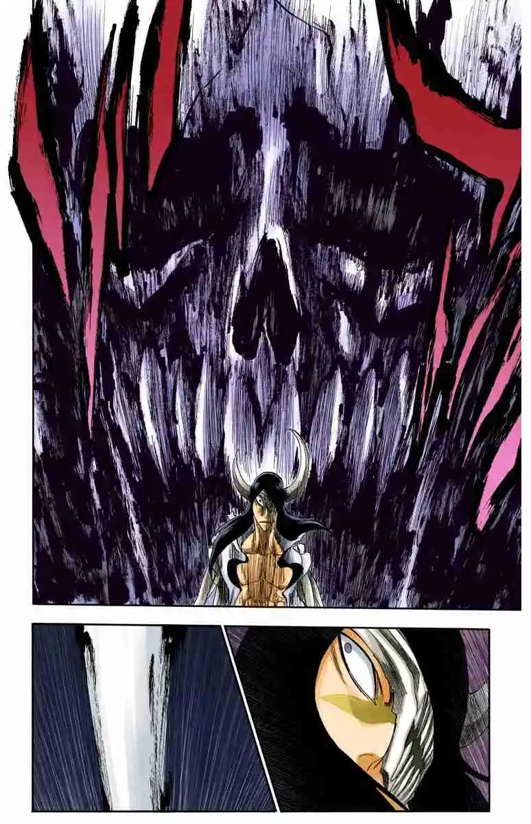 Bleach Full Color capítulo 310, página 9