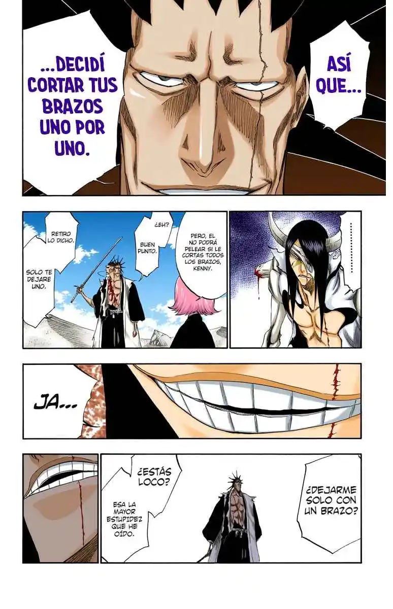 Bleach Full Color capítulo 310, página 13