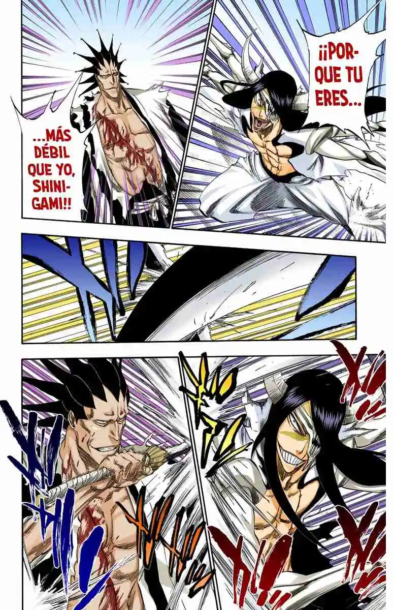 Bleach Full Color capítulo 310, página 15