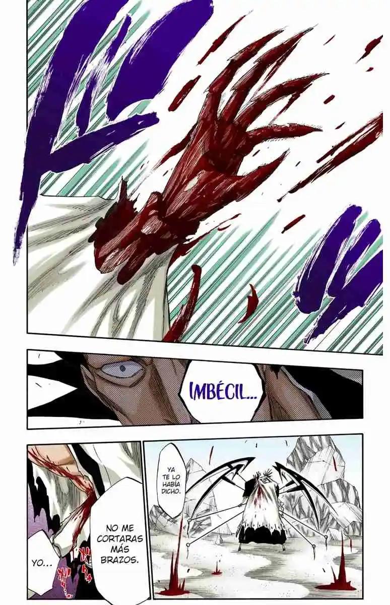 Bleach Full Color capítulo 310, página 19