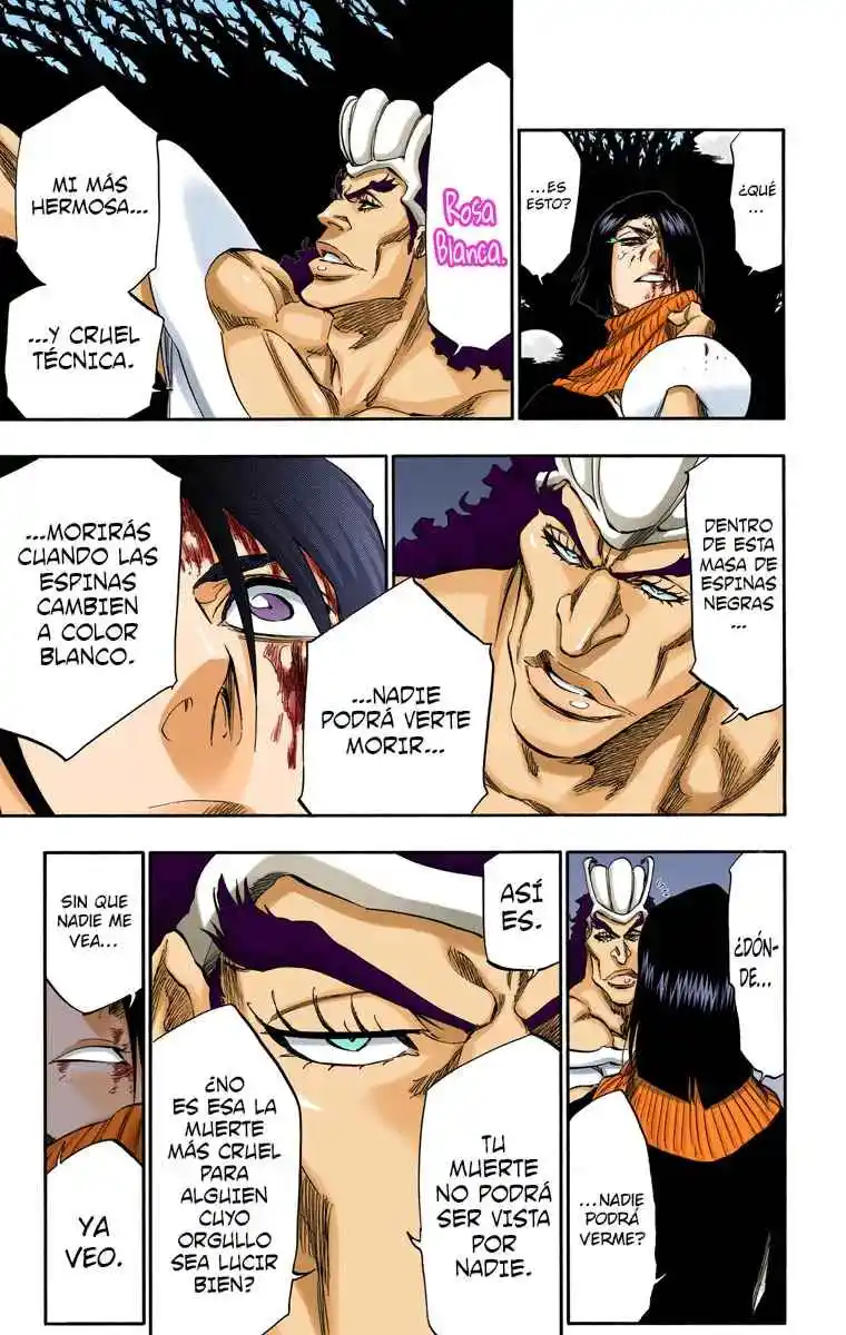 Bleach Full Color capítulo 321, página 14