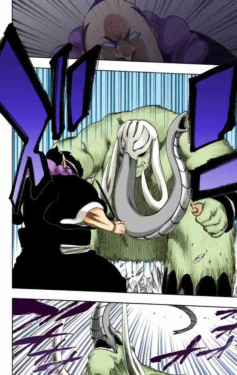 Bleach Full Color capítulo 331, página 13