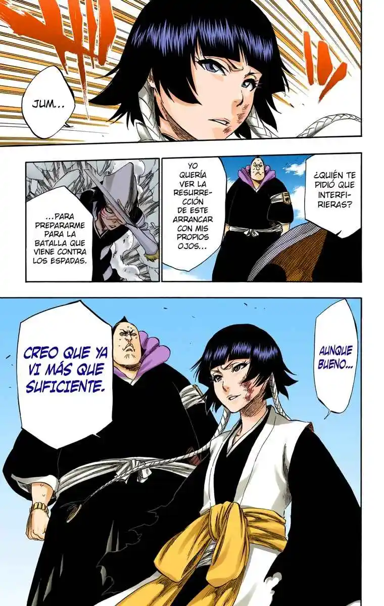 Bleach Full Color capítulo 332, página 24