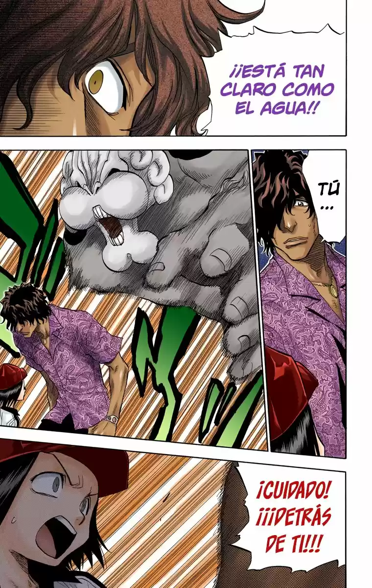 Bleach Full Color capítulo 39, página 6
