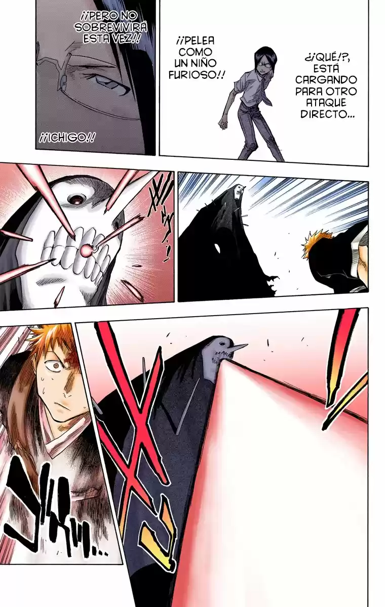 Bleach Full Color capítulo 49, página 14