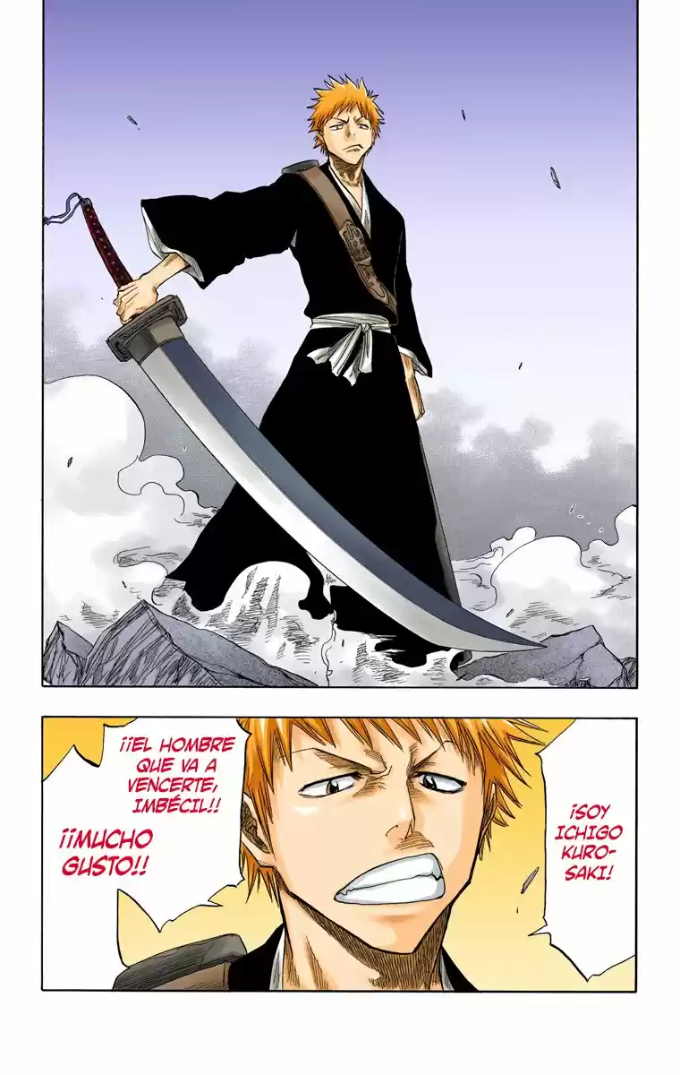 Bleach Full Color capítulo 53, página 24