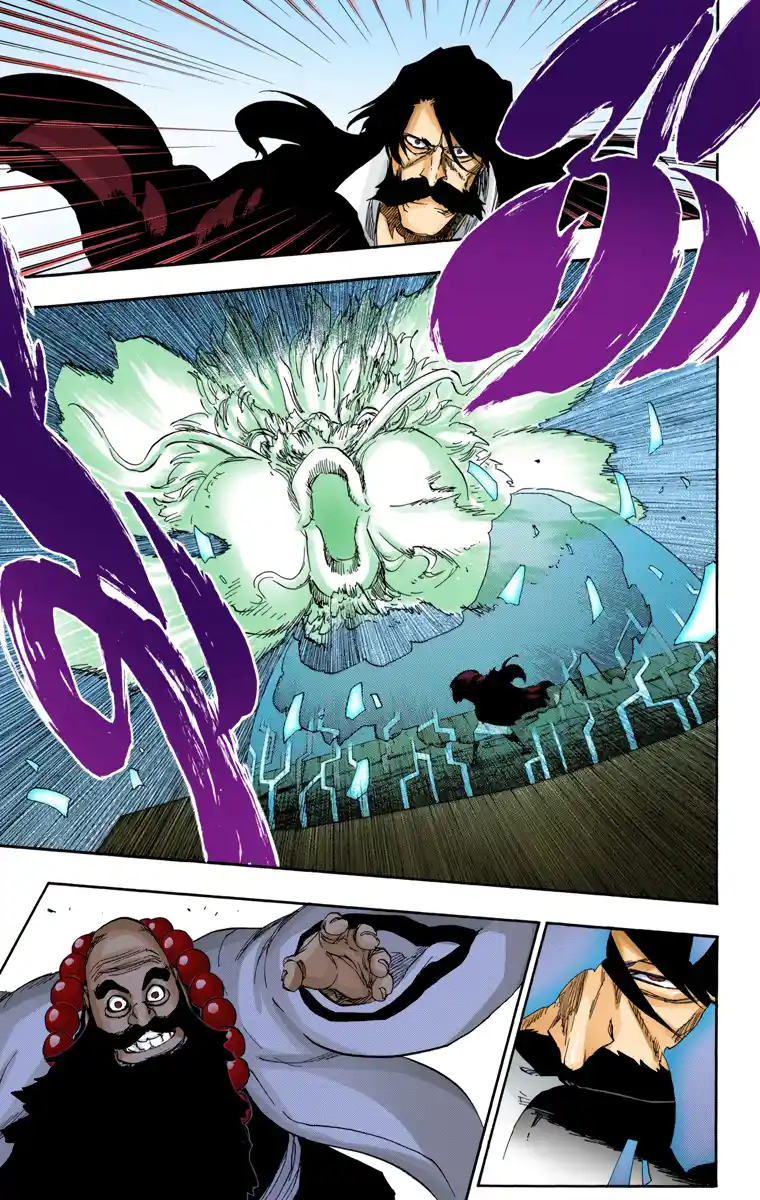 Bleach Full Color capítulo 607, página 13