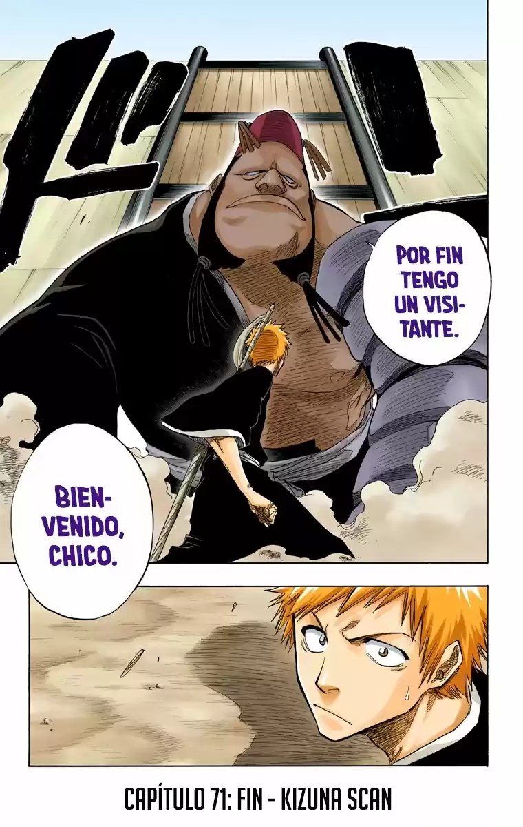 Bleach Full Color capítulo 71, página 24