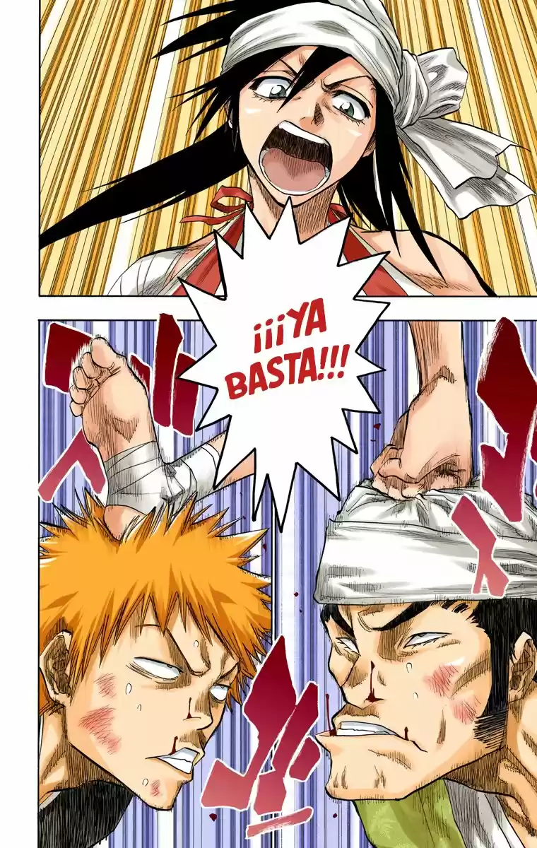 Bleach Full Color capítulo 79, página 16