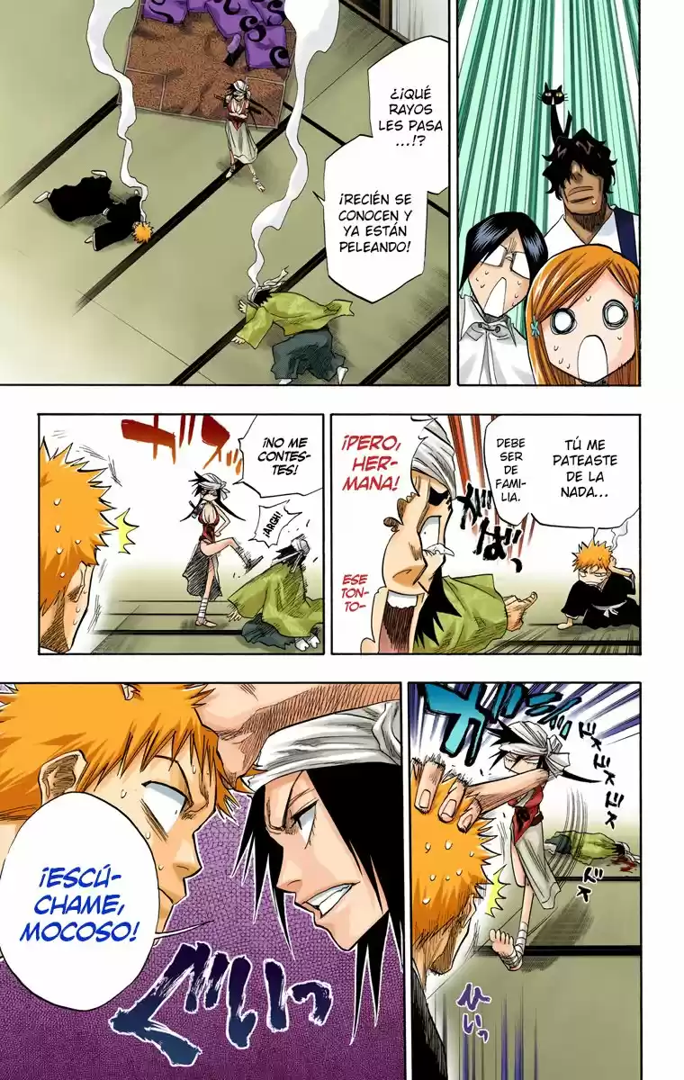 Bleach Full Color capítulo 79, página 17