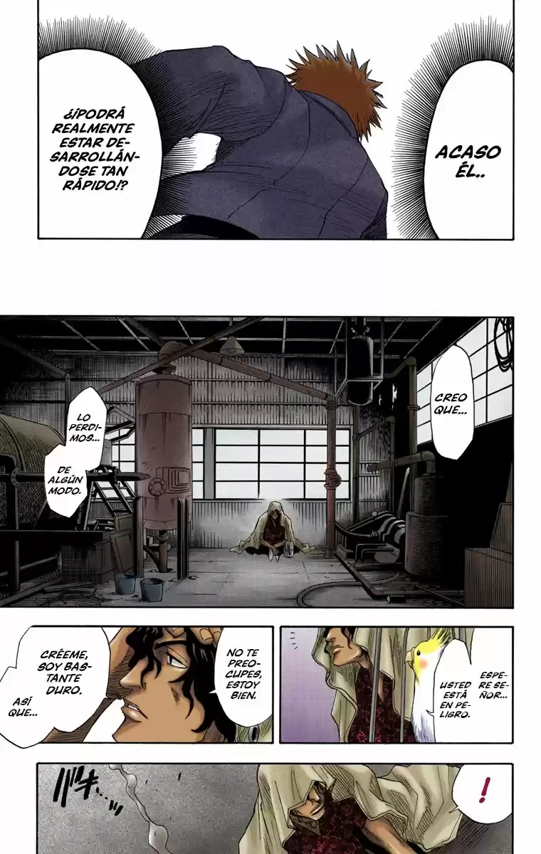 Bleach Full Color capítulo 8, página 17