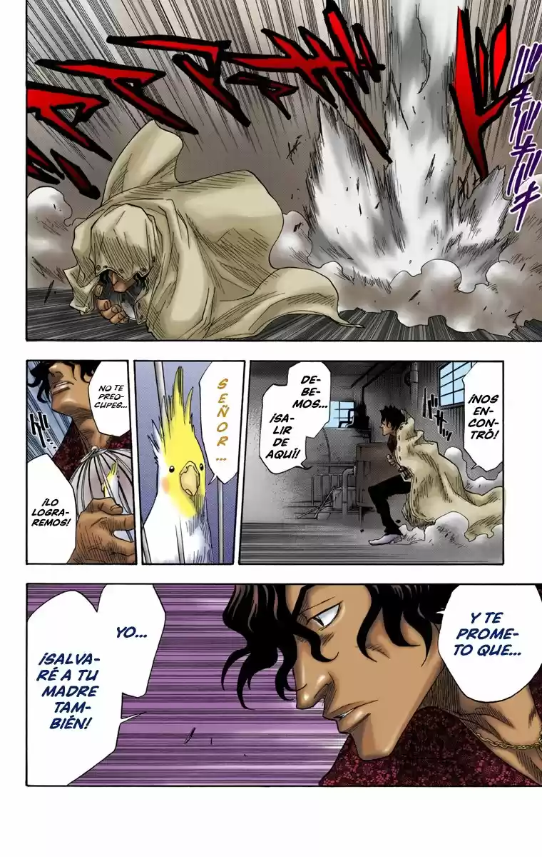Bleach Full Color capítulo 8, página 18