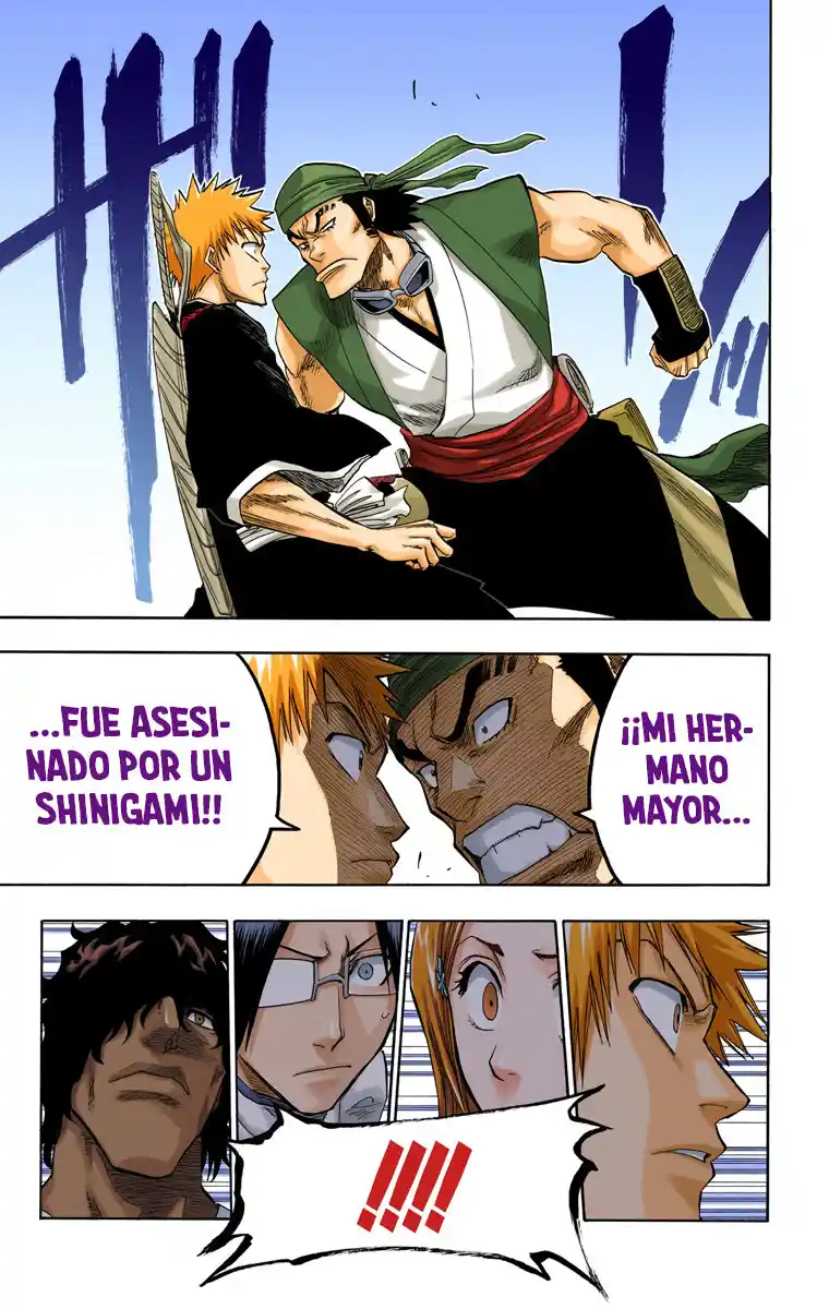 Bleach Full Color capítulo 83, página 14