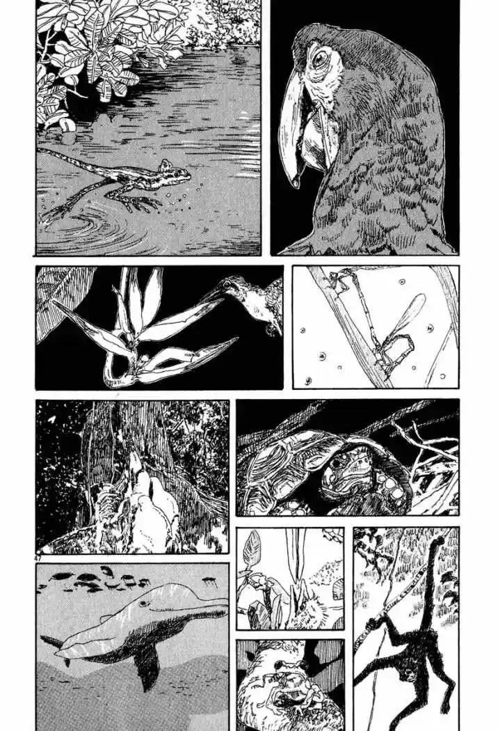 Brujas capítulo 3, página 45